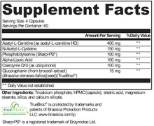Load image into Gallery viewer, XYMOGEN®, NeuroActives™ BrainSustain™ 240 Capsules
